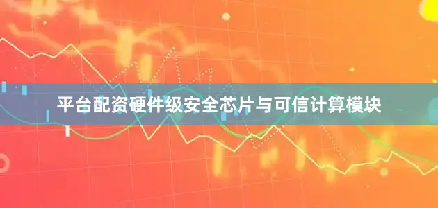 平台配资硬件级安全芯片与可信计算模块